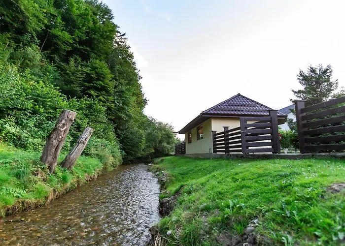 Pensiunea IonelaPensiune