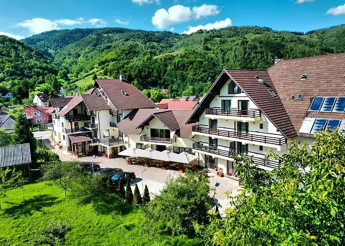 Pensiunea Andrei MoieciuPensiune